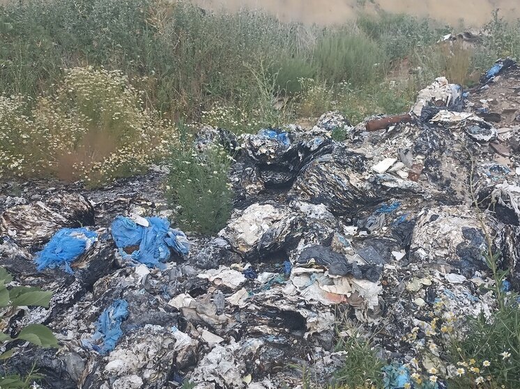 Свалки нет картинки