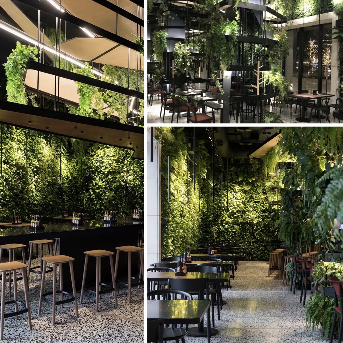 Фото из открытых источников