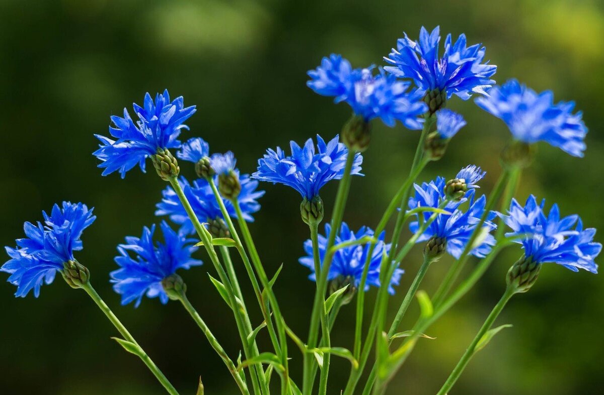 Из открытых интернет источников.