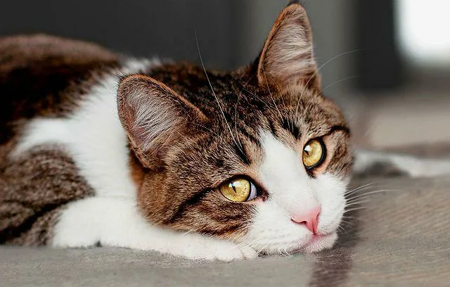 Передовые методы лечения