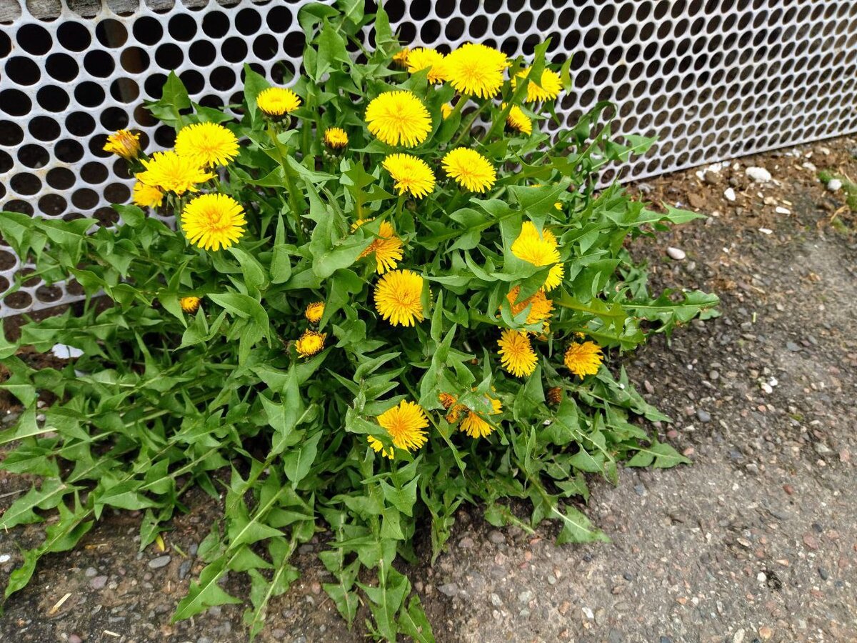 Красота какая!