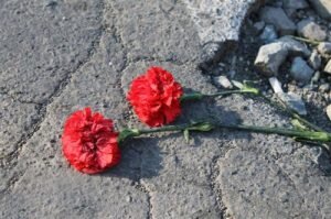    фото: livebir.ru Лаура Акопян