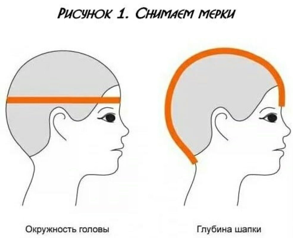 Как измеряется голова