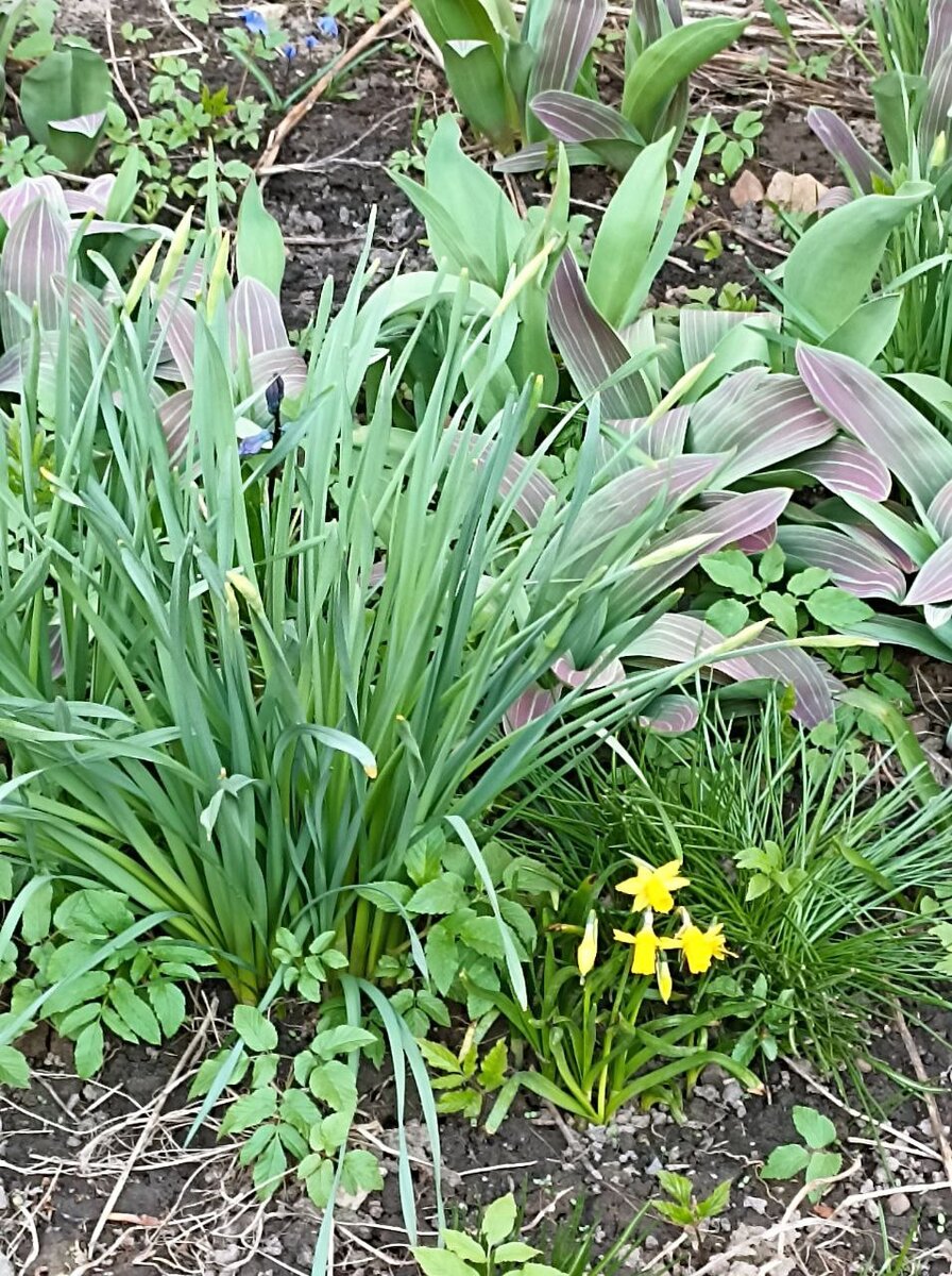 Листайте галерею