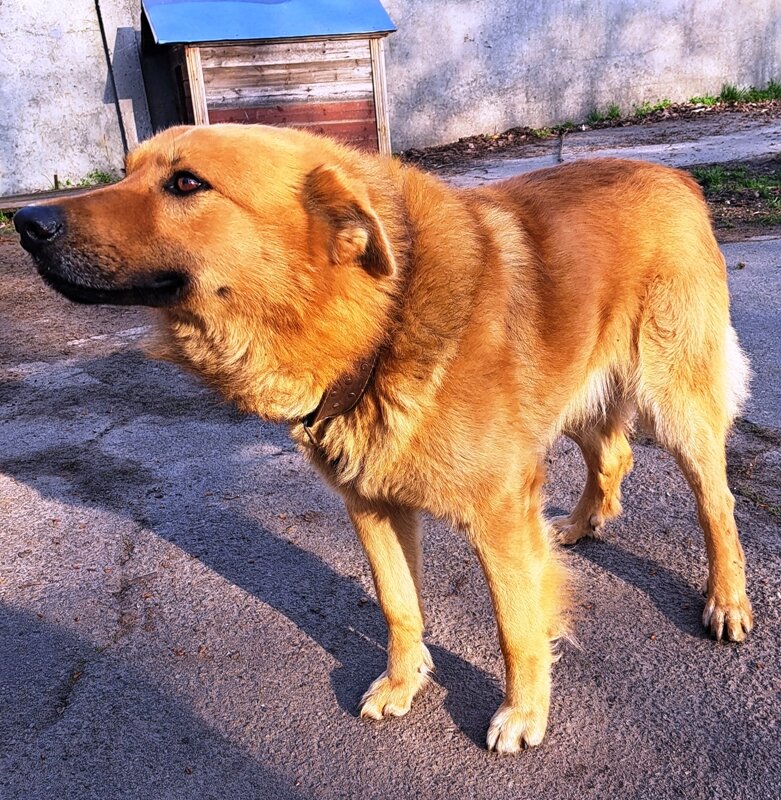 Фотография из личного архива