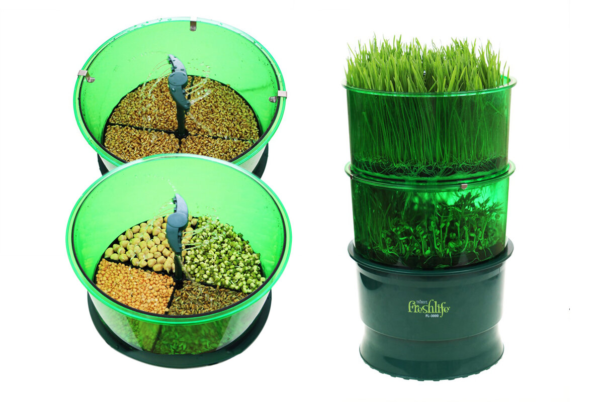 В Tribest Freshlife FL-3000 можно проращивать капустные, бобовые, луковые, а также зерна злаковых культур