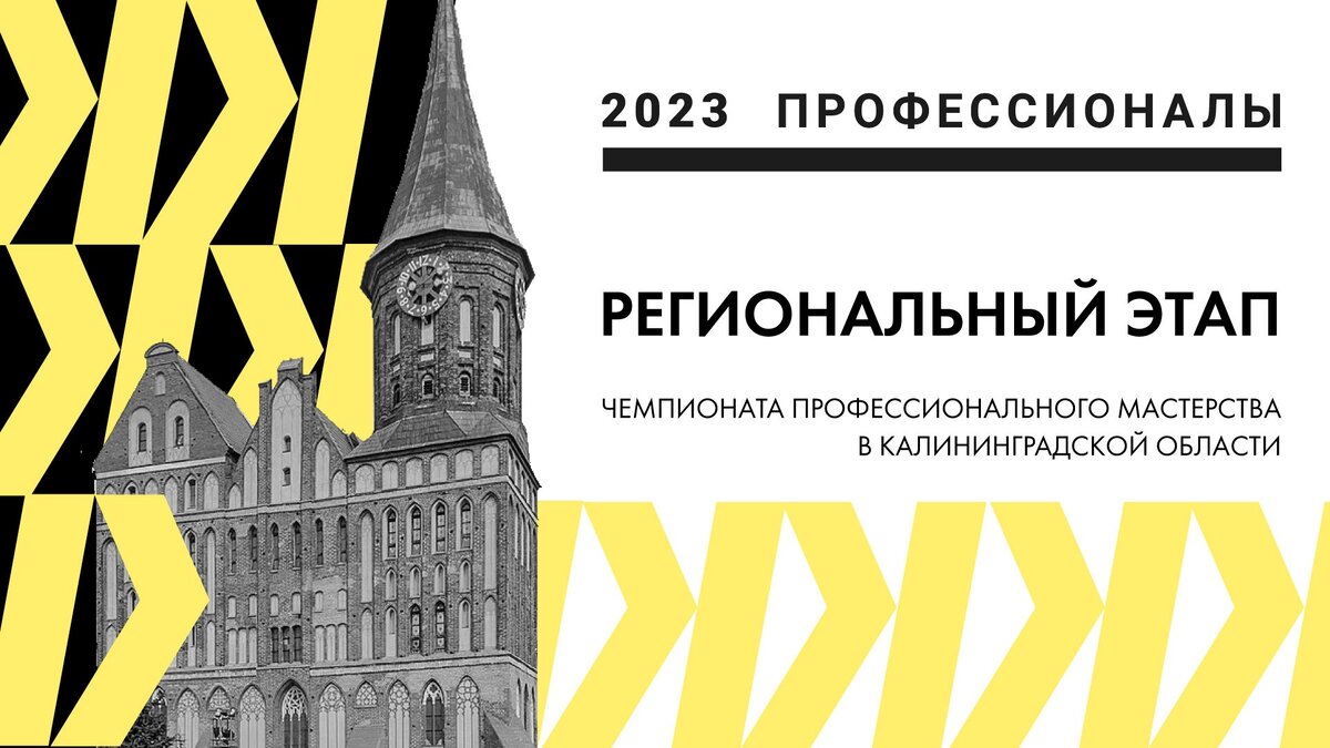 Я профессионал 2023