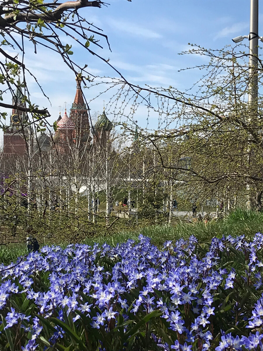 Фото автора статьи 