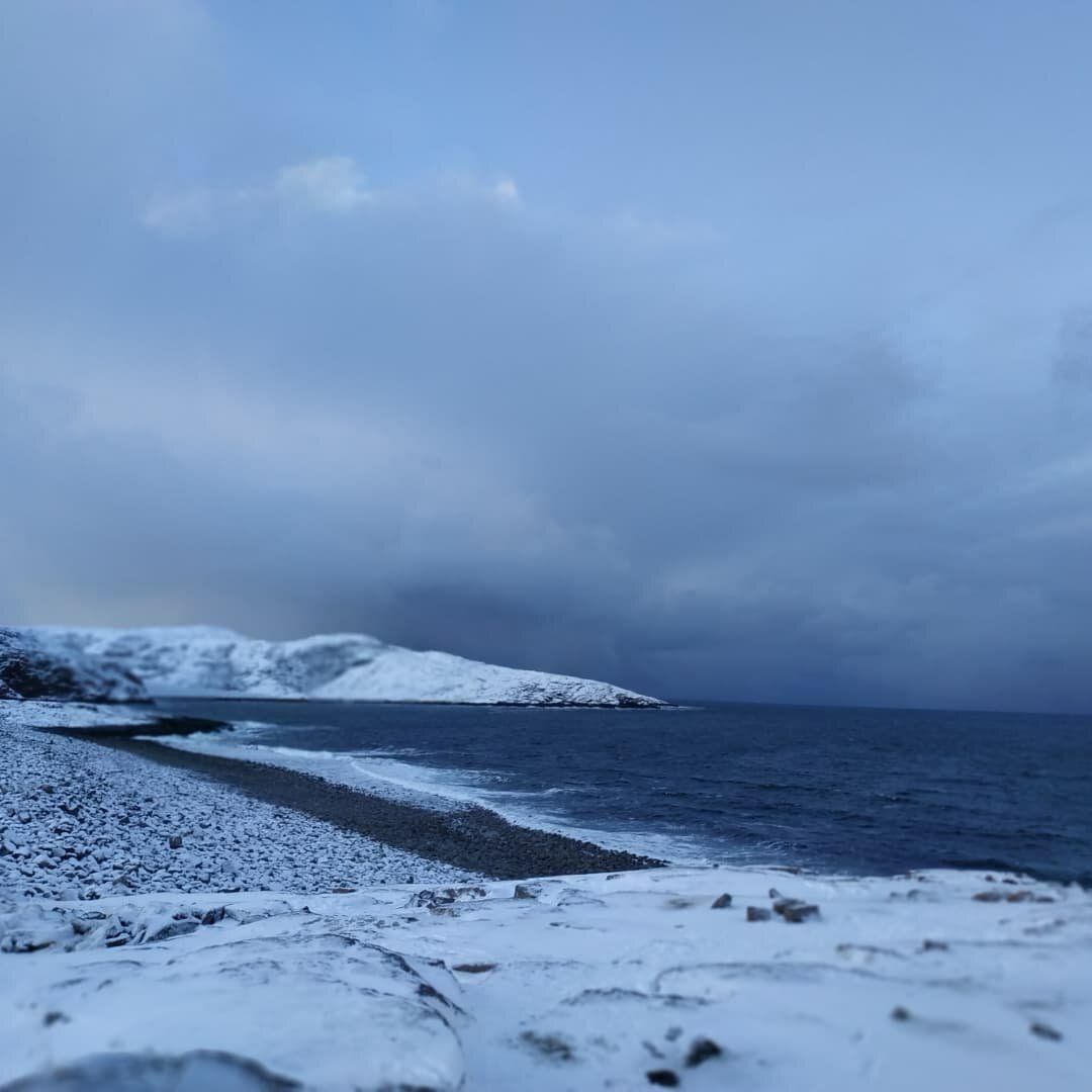 Студеное море