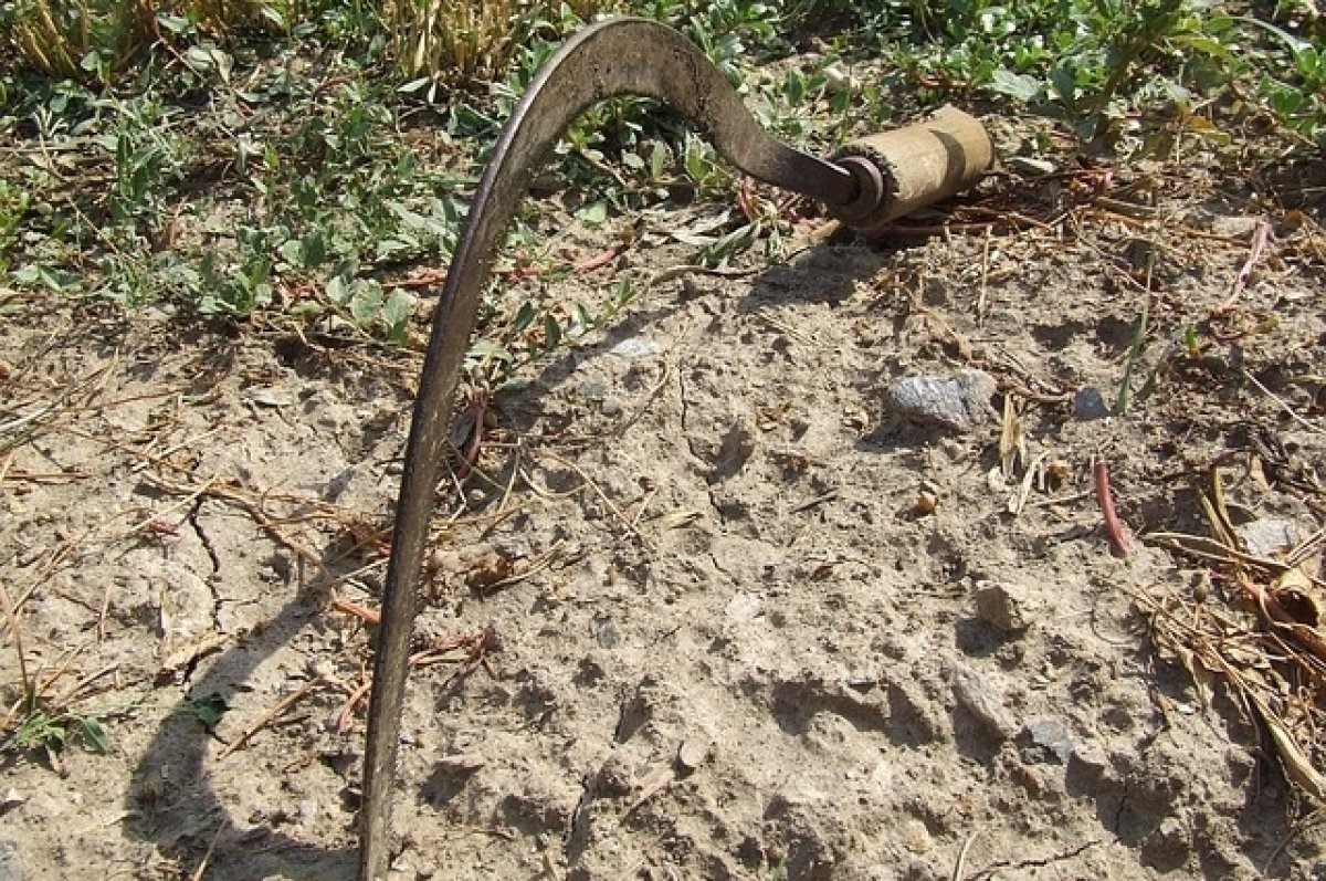    На читинца напал сосед с серпом