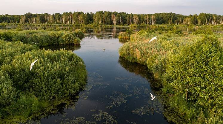    Сергей Бобылев/ТАСС