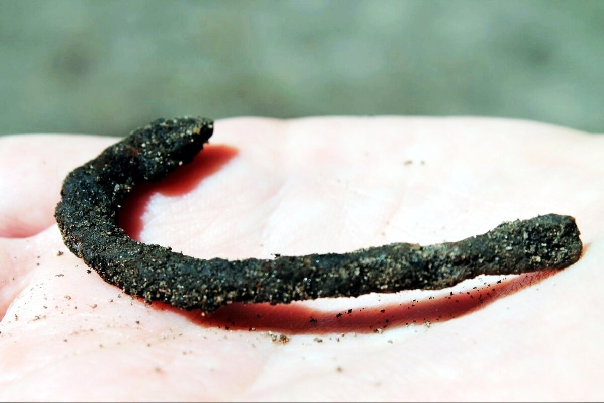 Древний рыболовный крючок, найденный Археологами на Золотарёвском городище в Пензенской области в 2017 году