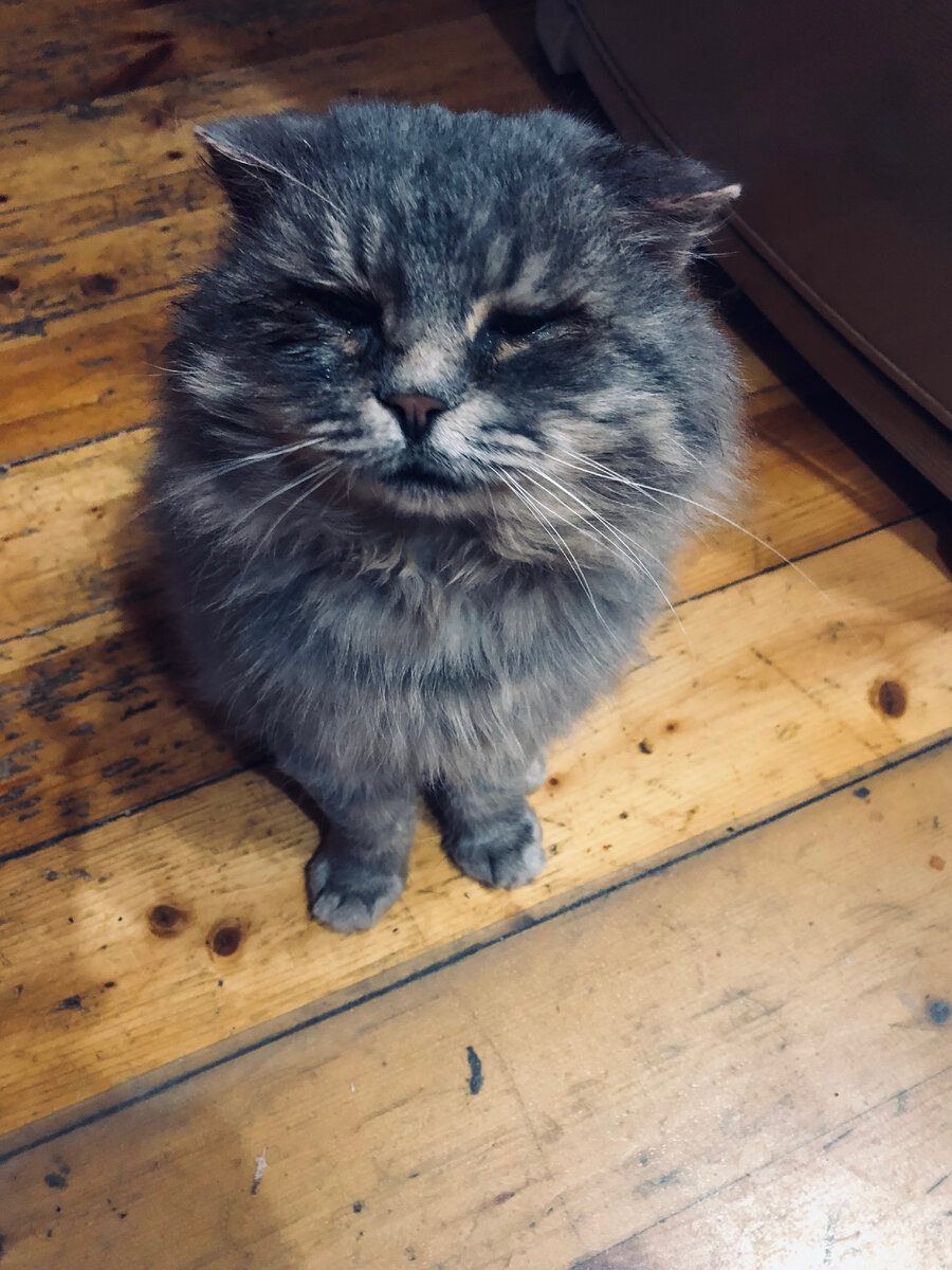 Быстро кладите мне еды и я побежал. Везде фото автора.