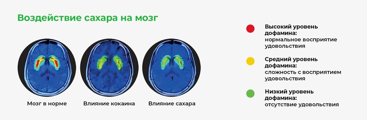 Влияние сахара на организм презентация