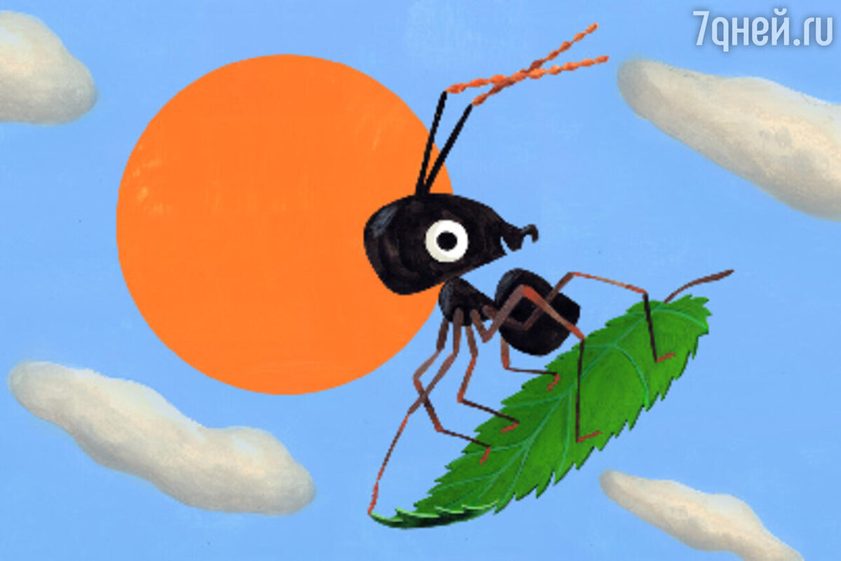     предоставлено Пресс-службой