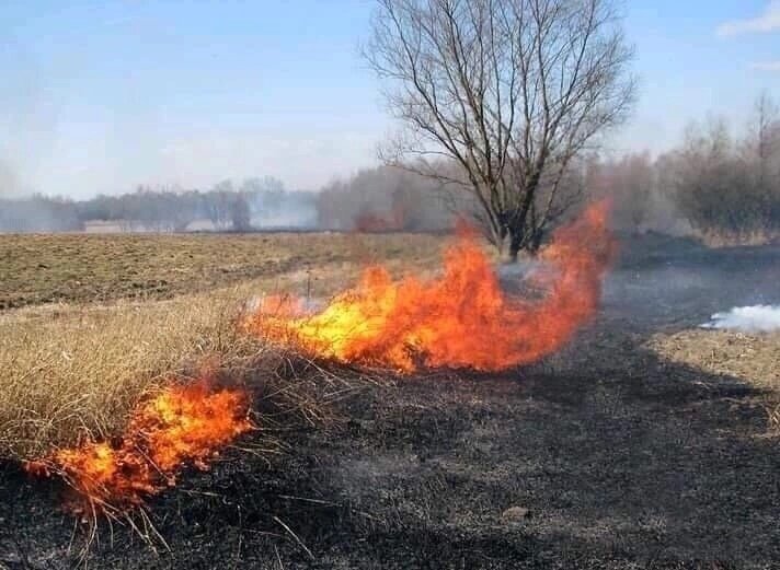    Автор: Наталья Кэт в группе Новости Рязани ВКонтакте