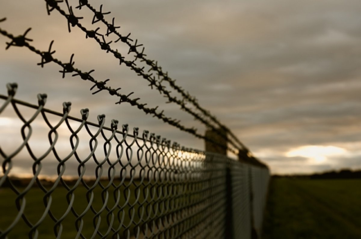    Приверженца неонацистских взглядов из Прикамья приговорили к заключению