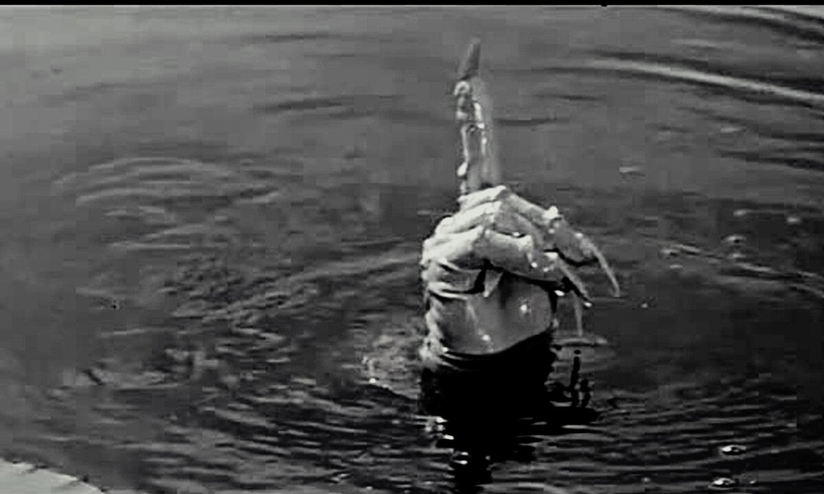 Картинка из интернета