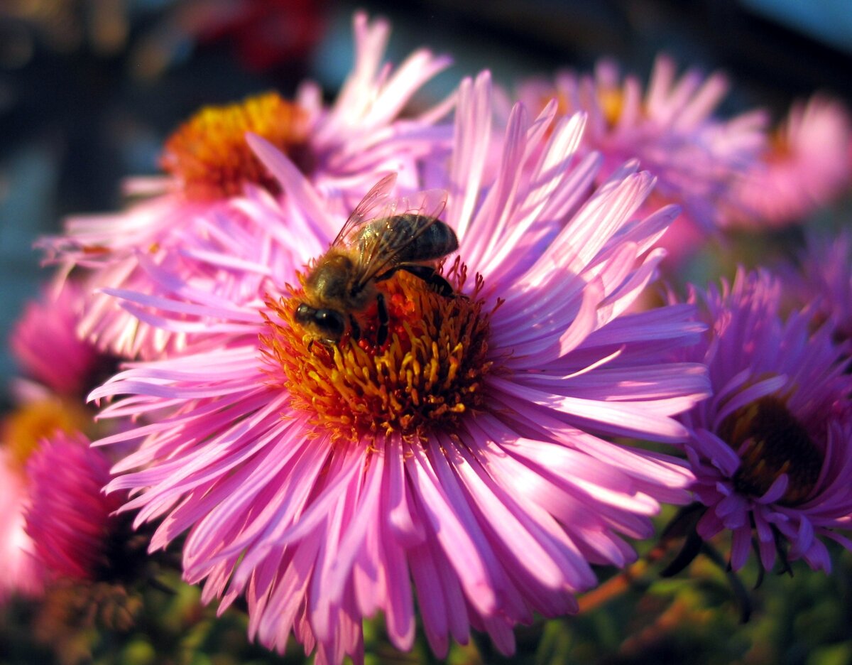 фото: Anvar Galeev/Russian Look/Globallookpress