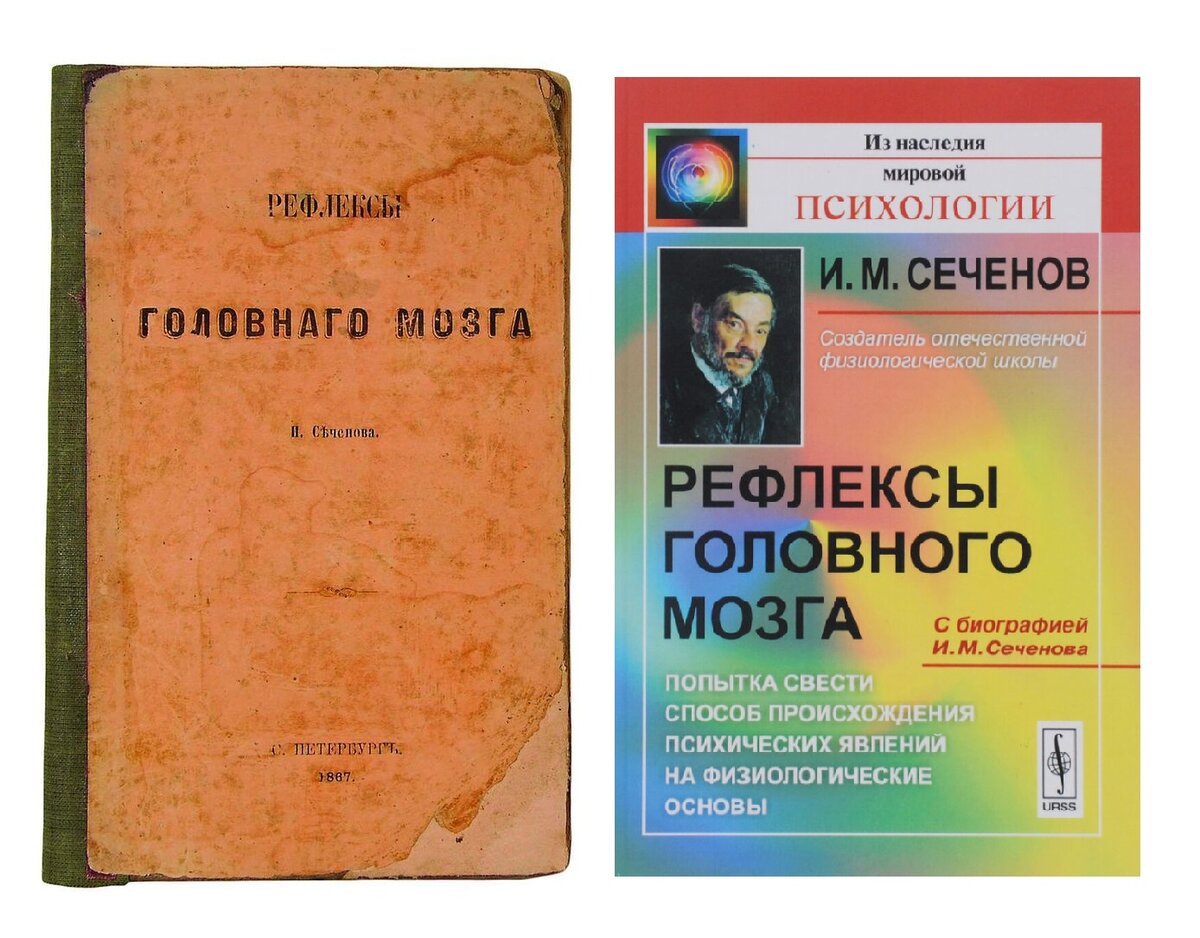 Рефлексы головного мозга Сеченов. Рефлексы головного мозга Сеченов книга. Рефлексы головного мозга Сеченов первое издание.