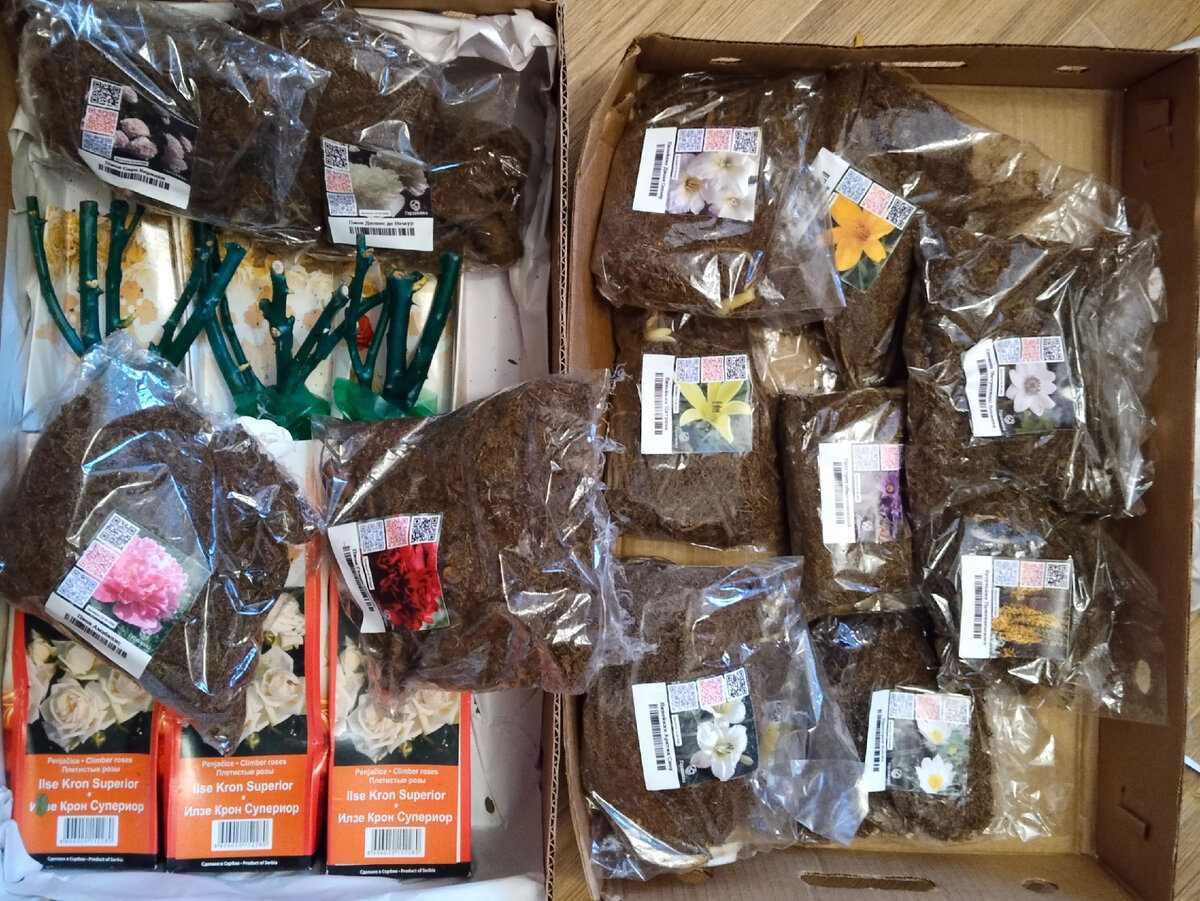 Сверилась со списком, все на месте