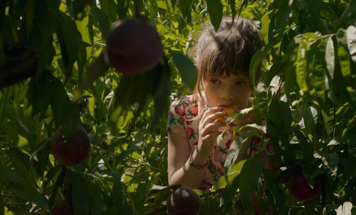 Кадр из Alcarràs  