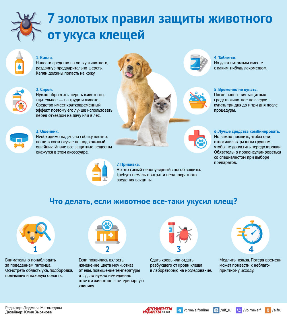    Нажмите для увеличения