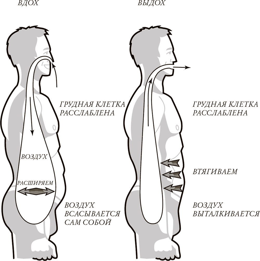 Дыхание диафрагмой схема