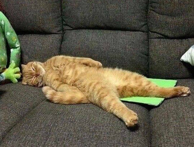 Фото из интернет источника 