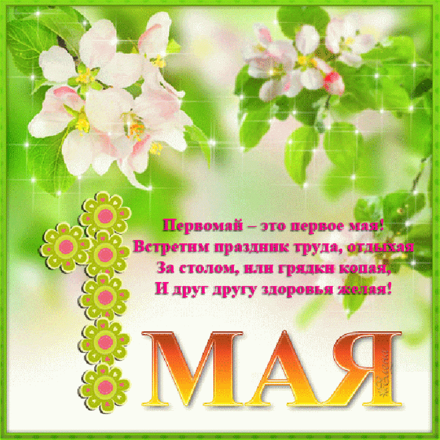 яндекс картинки