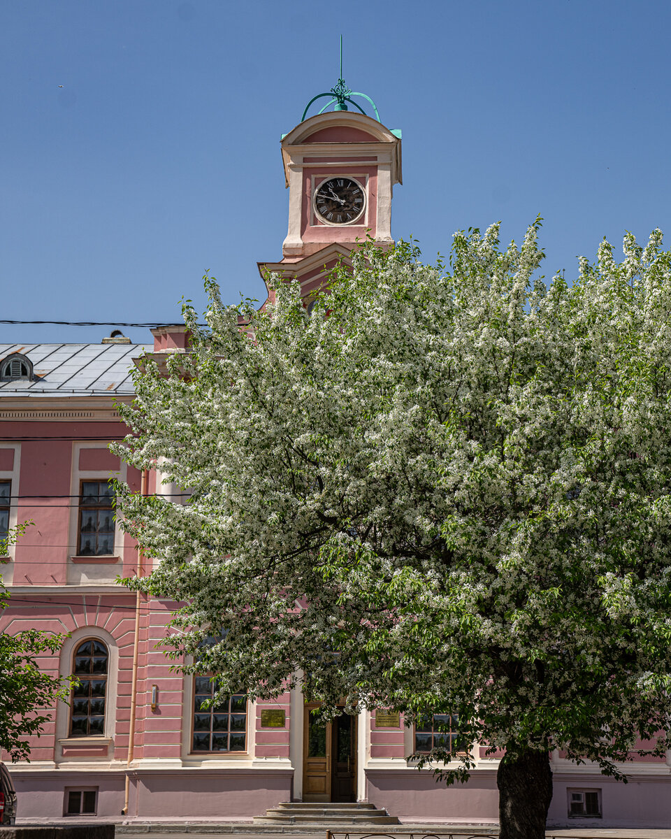 Главный корпус Тимирязевской академии 