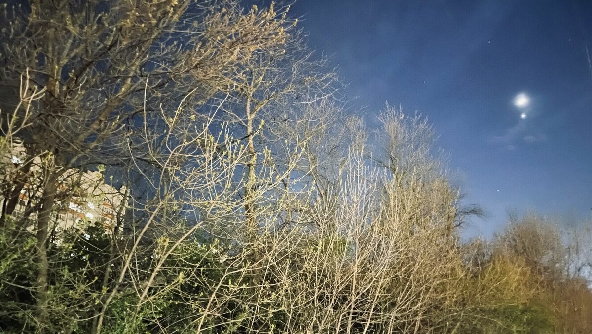     Жители Ростова-на-Дону смогут увидеть полутеневое затмение Луны, которое произойдет 5 мая в вечернем небе, когда тень Земли упадет на Луну.