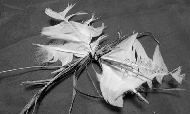 Фото из интернета.