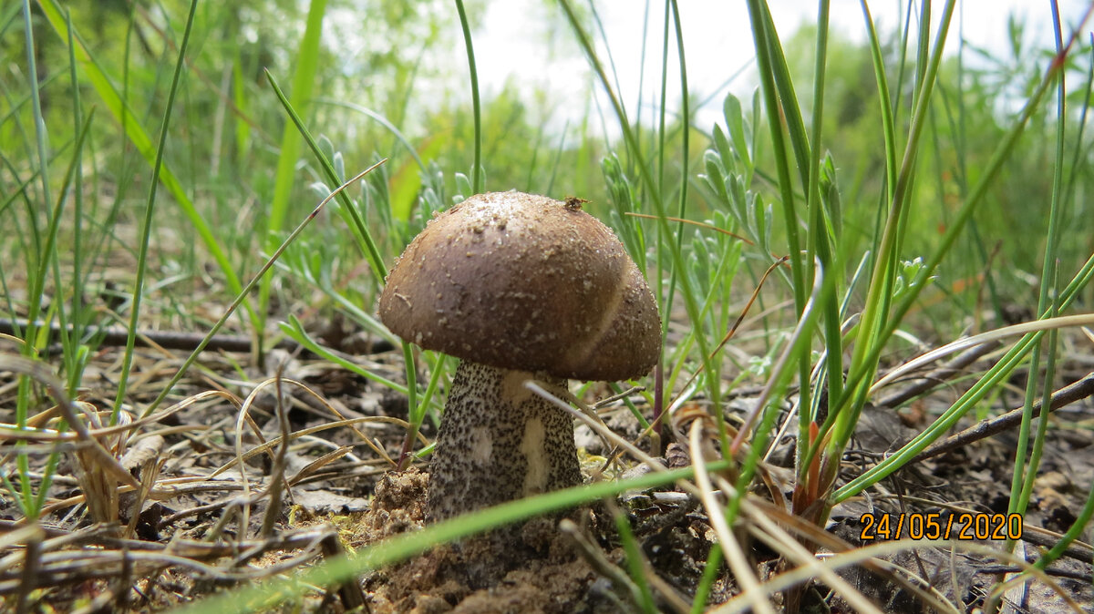 Фото автора - дата на фото))