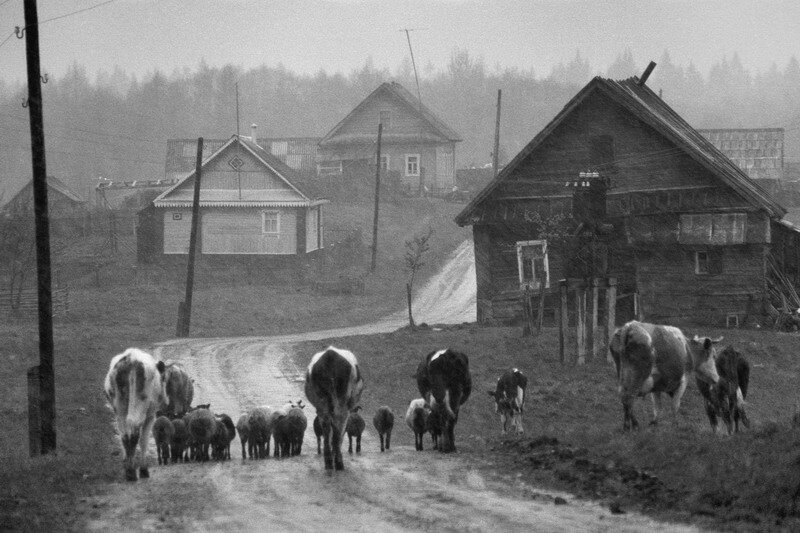 Хозяйство в деревне