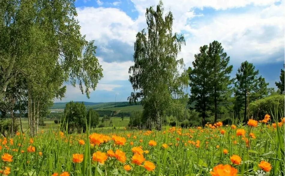 Картинка взята в интернете