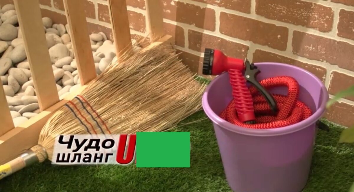 Изображение: ntv.ru | Screenshot автора 