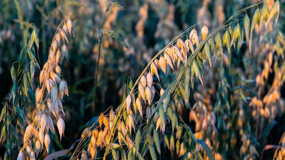    Фото: shutterstock