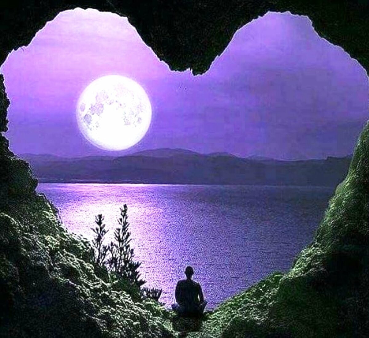 Картинки Яндекс