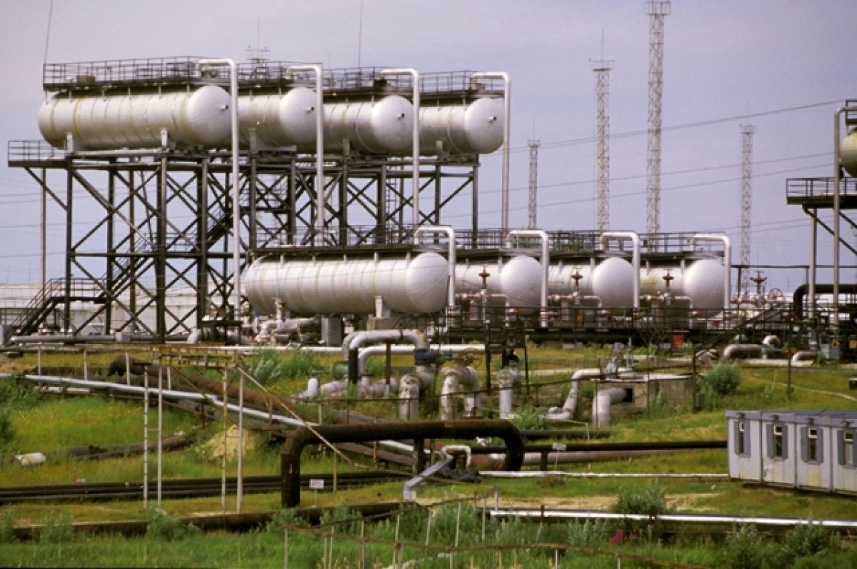    Новак: Россия сокращает добычу нефти на 500 тысяч баррелей в сутки