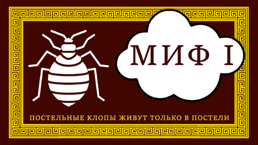 12 мифов о клопах. Миф № 1: Клопы живут только в постели или в кровати