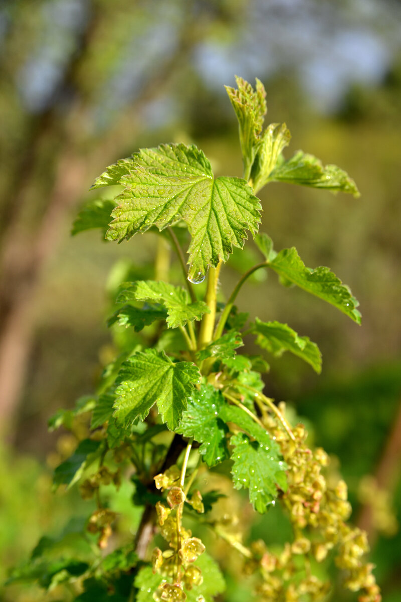 Фото Алексея Колотова