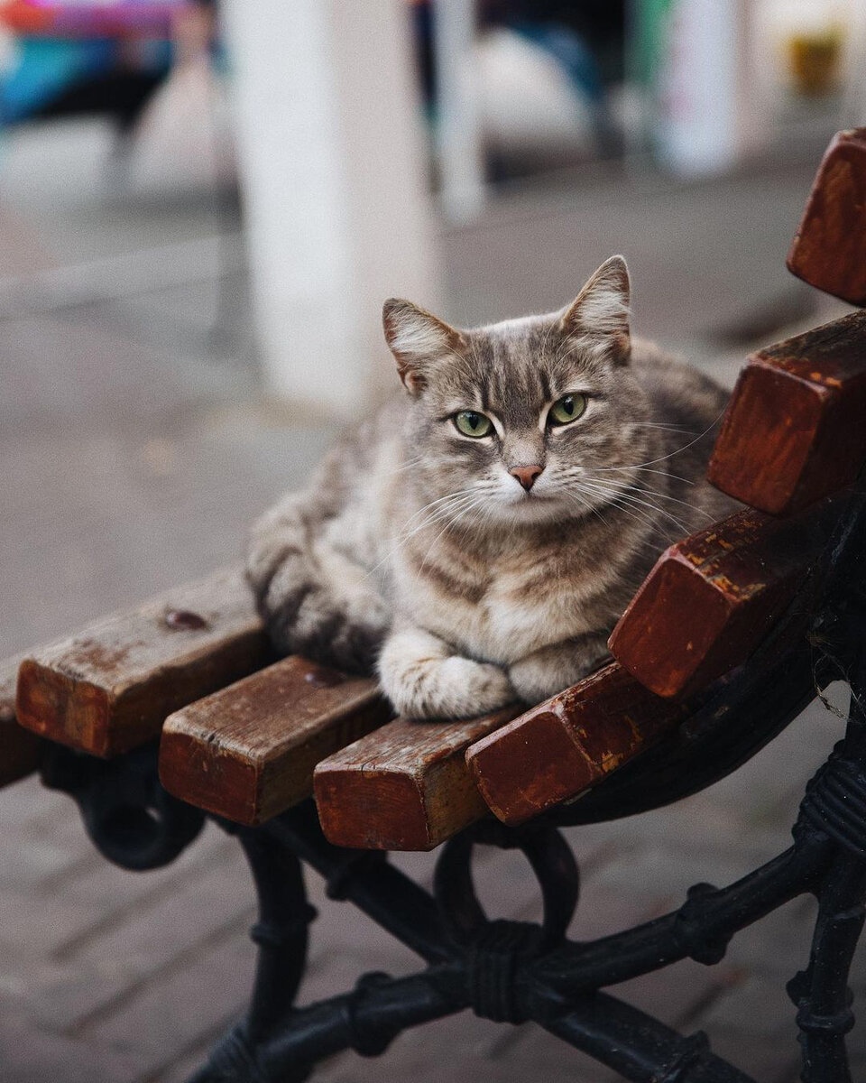 Геленджик, июнь 2021г