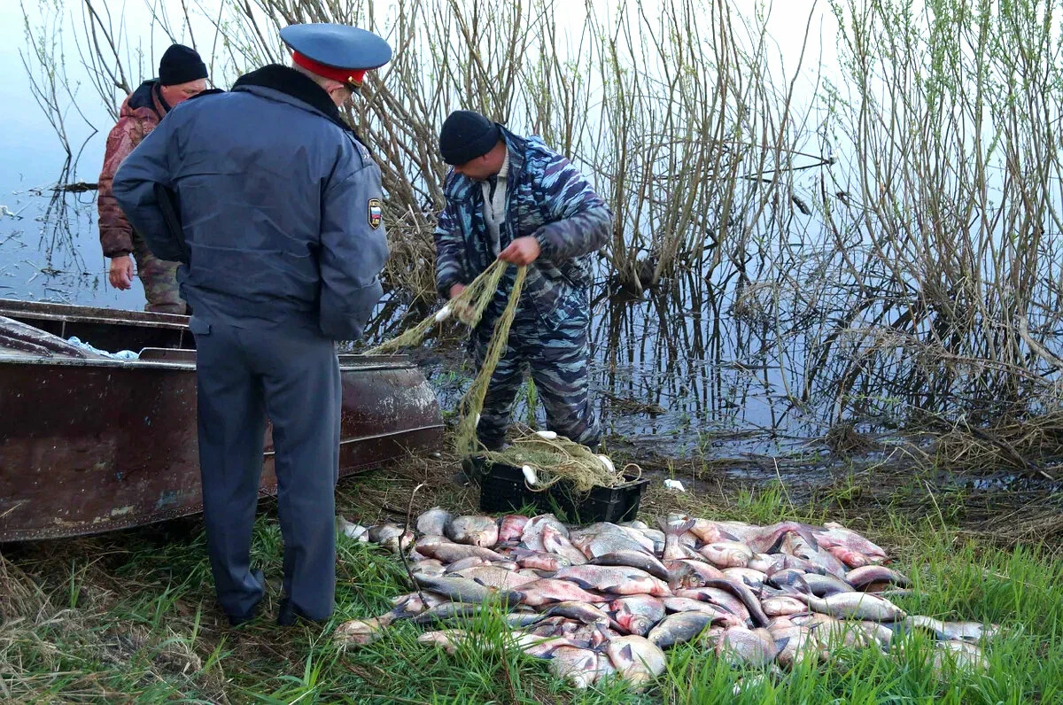 Браконьеры в Курганской области. Весенний запрет ловли