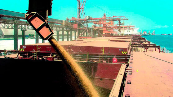    Вершинин: встреча высокого уровня по "зерновой сделке" запланирована на 10–11 мая Алина Городниченко