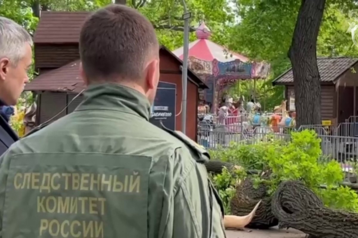    Власти Саратова назвали причину падения дерева в городском парке