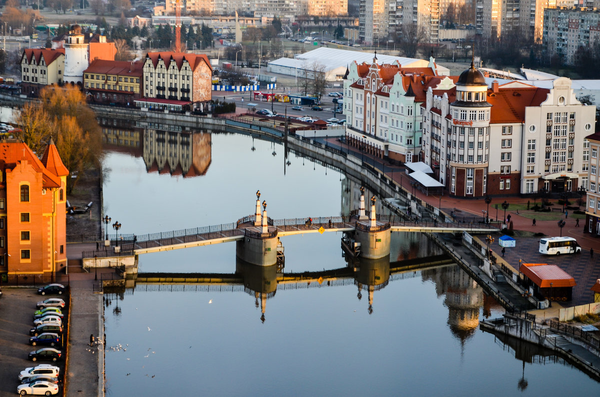 Фото в калининграде