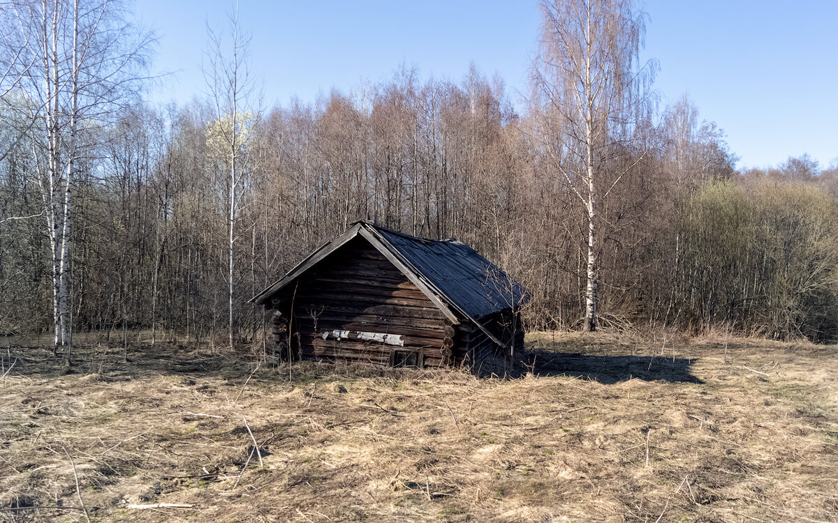 Пантелеево и Стрелица. Деревни, ушедшие в вечность. | Случайный  Путешественник | Дзен