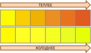 Теплые и холодные цвета