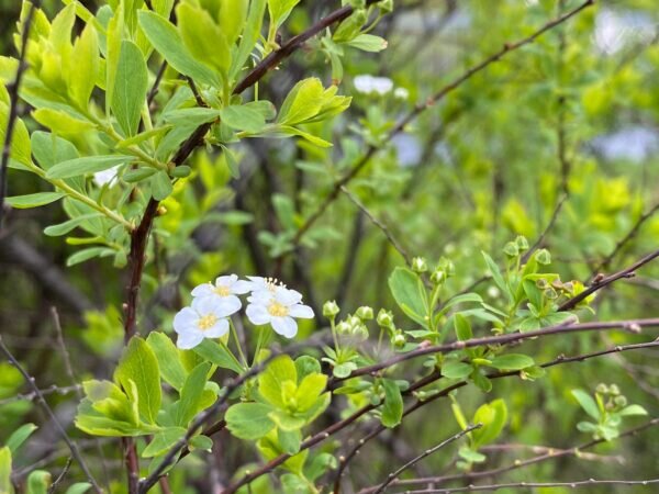    Фото: Светлана Лобова. UG.RU